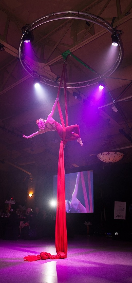 Corporate Functions Circus Style